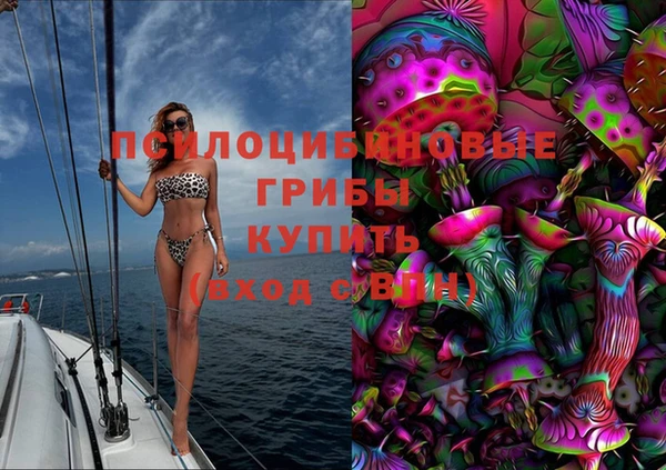apvp Богданович