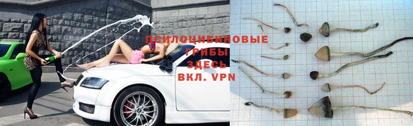 не бодяженный Богородицк