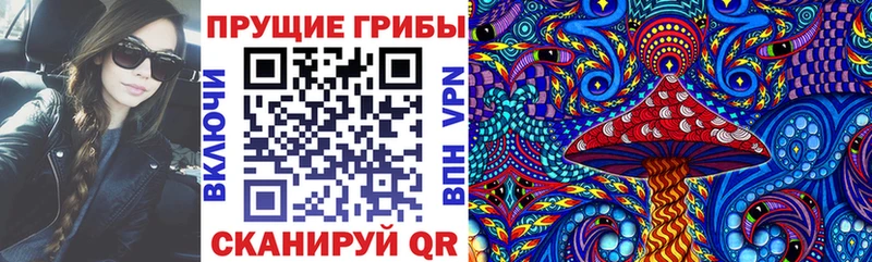 Галлюциногенные грибы мицелий  где купить наркоту  Берёзовка 